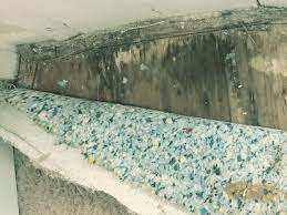 Cleaning Mold From Carpet Can
