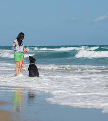 best pet friendly vacations on north