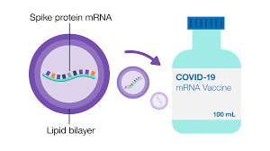 COVID-19 mRNA Vaccine Production