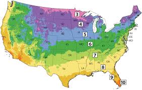 Usda Zone Map Finder Michigan Bulb