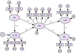 Sem Interpretation How To Interpret