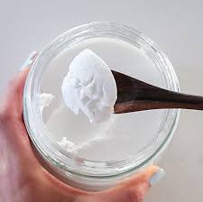 coconut yogurt dairy free vegan