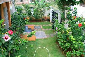 my garden e the organic garden in