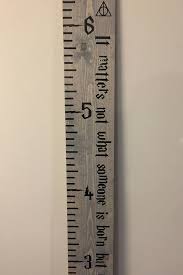 Harry Potter Inspired Giant Measuring Stick Growth Chart