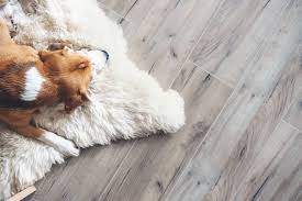 best flooring for dogs everything you