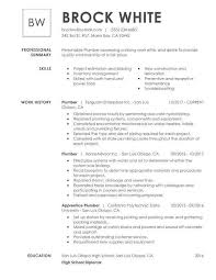 You do not need to give the actual details on your cv. Basic Resume Examples For Students Simple Format High School Freshers Hudsonradc