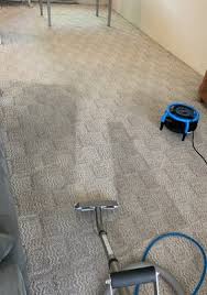 limitless carpet cleaning crissara dr