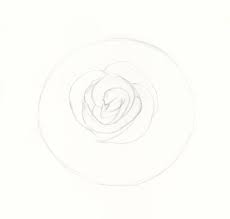 Draw a swirl in the centre of the paper. How To Draw Roses An Easy And Complete Step By Step Drawing Demo