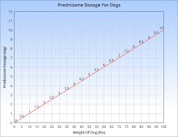 Prednisone For Dogs Dosage Side Effects And More