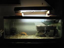 Finding or making a turtle tank topper is a must if you are gonna keep an aquatic turtle as a pet. How To Set Up An Aquarium For A Baby Softshell Turtle Pethelpful