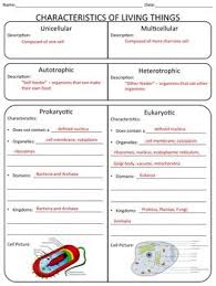 Lets Learn Classifying Living Things Organizer Teaching