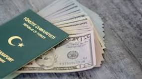 yeşil-pasaport-nedir-ne-işe-yarar
