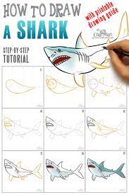 how to draw a shark in 9 easy steps