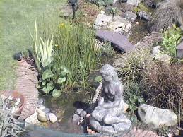 Garden Pond Liner