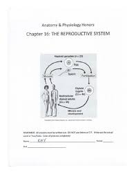 These files are related to anatomy and physiology coloring workbook answers chapter 12. Reproductive System Chapter 16 Key Answer