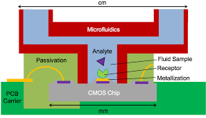 A nice bio, with cool design and great content makes all the difference. Cmos On Chip Bio Sensing Showing The Critical Size Matching And Download Scientific Diagram