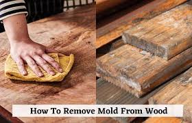 how to remove mold from wood effective