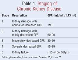 Chronic Kidney Disease And Hypertension A Destructive