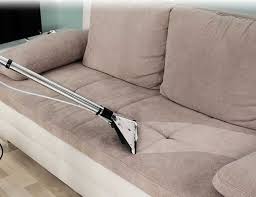 sofaset cleaning go wide pest control