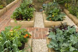 8 vegetable garden layouts to try for