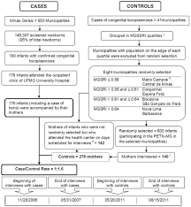Flow Chart Of The Case Control Study For Assessment Of Risk