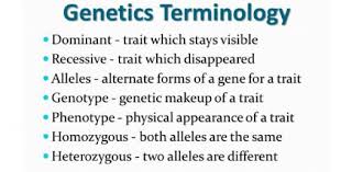 genetics terminology trivia questions