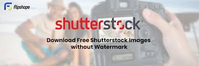 free shutterstock images