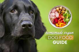 homemade vegan dog food guide 9 vet