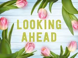 Image result for looking ahead