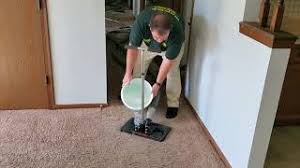 save carpet with pet urine soaked pad