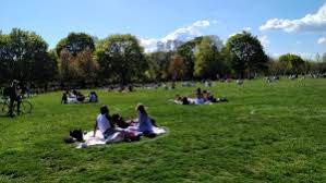 Trinity bellwoods was left trashed this weekend after the warm weather brought out hundreds of torontonians looking to enjoy the sunshine (and a couple of drinks). The Social Distancing Circles At Trinity Bellwoods Park Are Back For Another Summer Cp24 Com