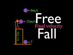 Physics Kinematics Free Fall 10 Of