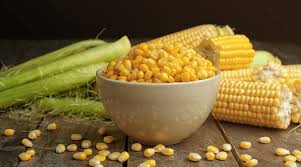 corn benefits nutritional value and