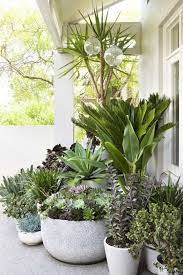 Landscape Design With Potted Plants