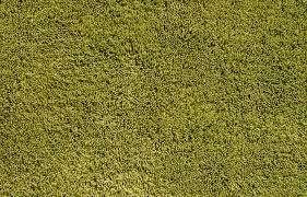 carpet texture free stock photo by