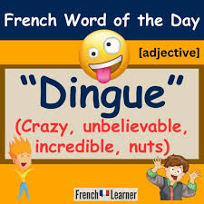 dingue meaning translation crazy in