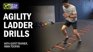 gofit agility ladder drills you