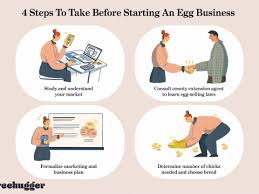 A flock of six chickens will gobble down the bag in about a month; How To Start An Egg Business