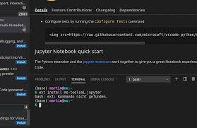 install python within vs code