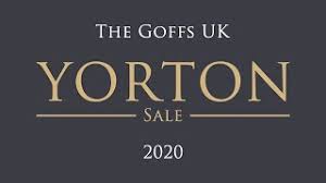 Goffs uk spring store sale preview. Goffs Uk Yorton Sale 2020 Youtube