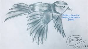 realistic flying bird drawing zilla