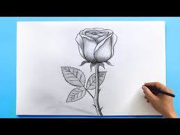 how to draw flowers you