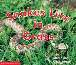 Image result for snakes in grass
