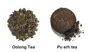 oolong tea vs pu erh tea my detailed