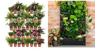 Why The Living Wall Trend Is So Big