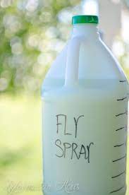 the best homemade fly spray