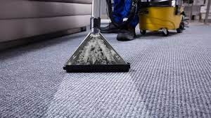 carpet cleaning companies dover de