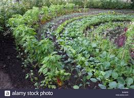 Semi Circular Vegetable Garden Eden