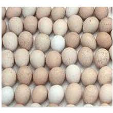 Ringneneck Pheasant Hatching Eggs For Sale Buy Ringneck Pheasant Hatching Eggs