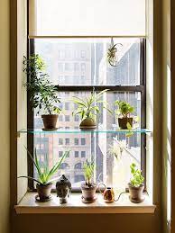 Urban Gardeners Indoor Window Garden